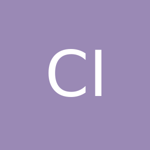CS MENTORS IAS Academy